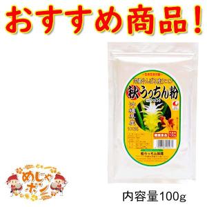 ウコン サプリメント 秋ウコン 粉末 沖縄県産  お土産 おすすめ 秋うっちん粉詰替え用袋入100g×1個 うっちん沖縄