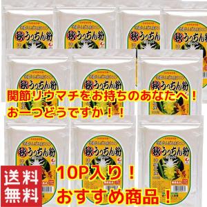 お土産 ウコン サプリメント 秋ウコン 沖縄県産ウコン 通販 おすすめ 秋うっちん粉アルミ袋入100g×10個セット うっちん沖縄｜mejapon