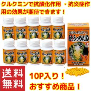 秋ウコン サプリメント 錠剤 沖縄県産ウコン　おすすめ　秋うっちん粒1000粒入×10点セット うっちん沖縄｜mejapon