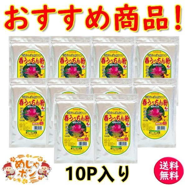 ウコン サプリメント 春ウコン 沖縄県産 うこん お土産 通販 おすすめ 春うっちん粉100g×10...