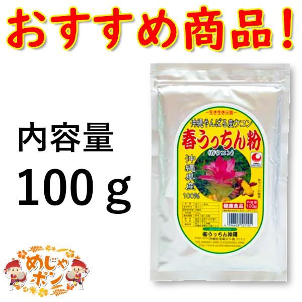 春ウコン 粉末 うこん サプリメント 沖縄県産 お土産 通販 おすすめ 春うっちん粉100g×1袋 ...