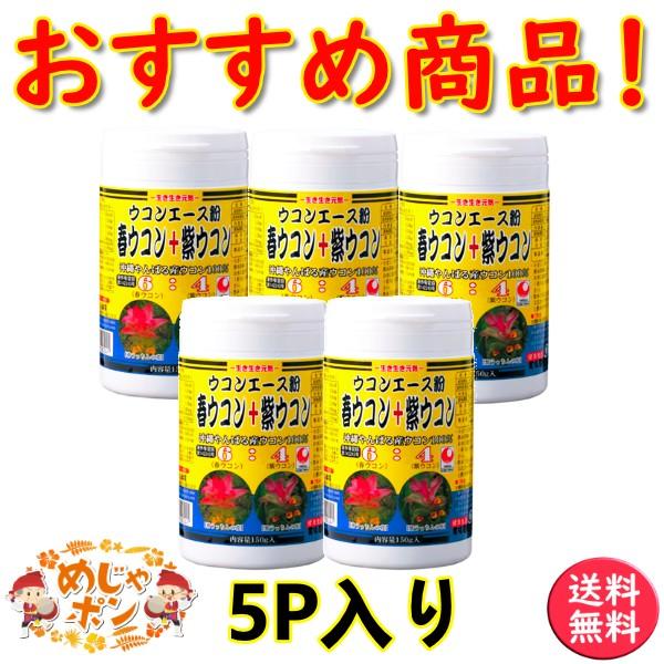 ウコン 粉末 沖縄県産 お土産 通販 おすすめ ウコンエース粉容器入150g×5個セット うっちん沖...