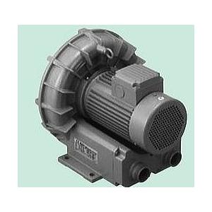 TERAL テラル VFZ301PN 単相 低騒音形 リングブロワー : 伝動機ドット