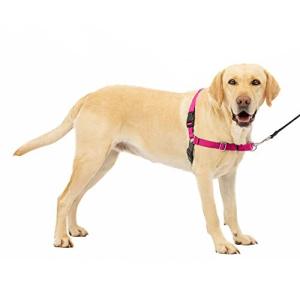 PetSafe イージーウォークハーネス