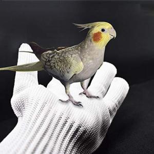 Bennyue ペット お手入れ手袋 ペットグローブ 保護手袋 作業 革 レザー 耐熱 厚手 動物取扱 腕全体保護 引っ掻きや噛みつき防止 園芸用手袋
