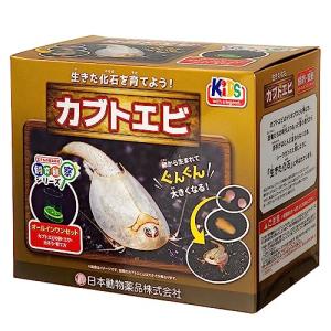 ニチドウ 飼育観察セット カブトエビ｜meki5