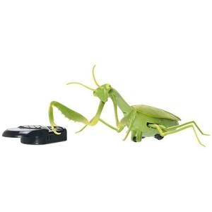 カマキリ虫の商品一覧 通販 Yahoo ショッピング