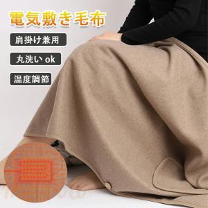 電気毛布 掛け敷き兼用 温度調節 アイリスオーヤマ 掛け敷き usb 洗える ダニ退治 おしゃれ 足元 あったかグッズ あったかグッズ 省エネ 在宅ワーク プレゼント