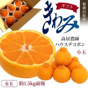 完熟みかん くす玉くん大玉 産地直送 訳あり 箱買い 家庭用 和歌山県