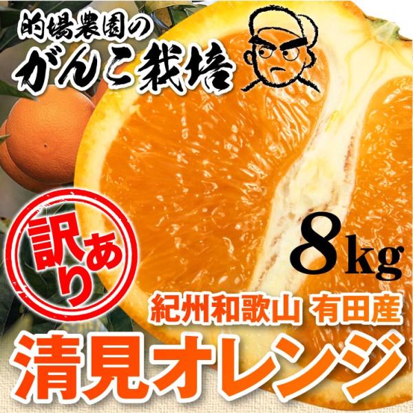 清美 訳あり オレンジ 8.0kg 果物 フルーツ 柑橘系 清見 きよみ 有田市 産地直送 8kg ...