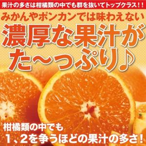清美 訳あり オレンジ 8.0kg 果物 フル...の詳細画像1