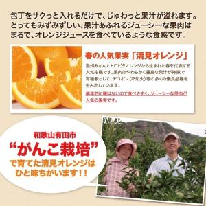 清美 訳あり オレンジ 8.0kg 果物 フル...の詳細画像2