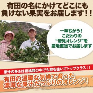清美 訳あり オレンジ 8.0kg 果物 フル...の詳細画像5