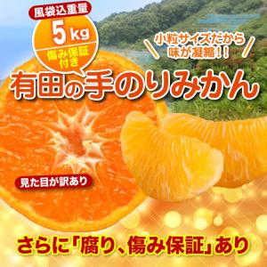 みかん 小粒 訳あり 有田 こつぶみかん 蜜柑 ミカン 5.0kg 送料無料 和歌山 産地直送 箱買い 自宅用 糖度 5キロ 小さめ 小さい 和歌山みかん