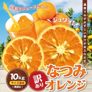 5kg×2で10kg 風のいたずら坊や 《温州みかん》傷あり・不ぞろい【送料