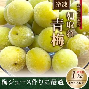 冷凍 冷凍青梅 紀州南高梅 完熟 青梅 1kg 1キロ 不揃い（L〜4L） ジュース用 梅酒用 うめ ウメ 青うめ 加工用 家庭用｜melimelo