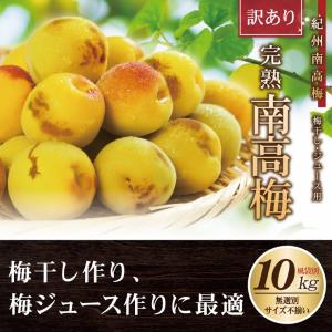メイリン 様 専用‼️完熟南高梅 10kg ×40kg 和歌山県産 camping.com