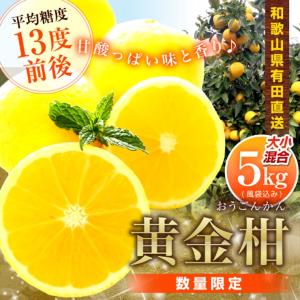 黄金柑 （おうごんかん） 3kg 和歌山 有田産 ゴールデンオレンジ 果物