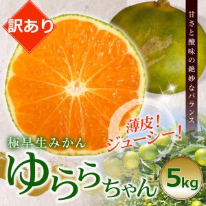 訳あり ゆらら 極早生みかん 5kg 酸っぱい 蜜柑 ゆら早生 酸味 送料無料 箱買い 自宅用 家庭用 糖度 甘い 有田みかん 5キロ 産地直送 和歌山みかん 早生みかん