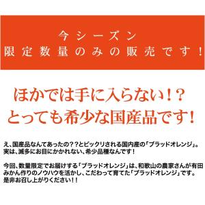 ブラッドオレンジ 和歌山 産地直送 3kg オ...の詳細画像1