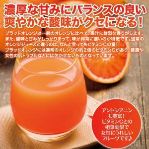 ブラッドオレンジ 和歌山 産地直送 3kg オ...の詳細画像2