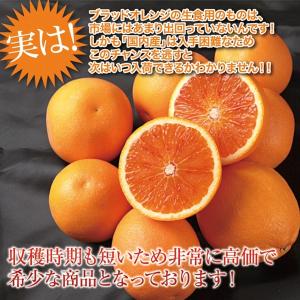 ブラッドオレンジ 和歌山 産地直送 3kg オ...の詳細画像4