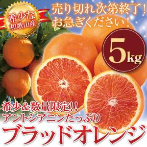 ブラッドオレンジ 和歌山 産地直送 5kg オレンジ 柑橘系 箱買い 甘い 美味しい 送料無料 送料無 フルーツ 果物 5キロ｜melimelo