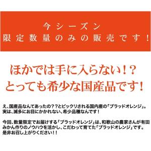 ブラッドオレンジ 和歌山 産地直送 5kg オ...の詳細画像1