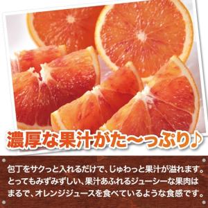 ブラッドオレンジ 和歌山 産地直送 5kg オ...の詳細画像3