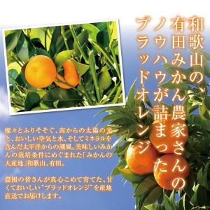 ブラッドオレンジ 和歌山 産地直送 5kg オ...の詳細画像5