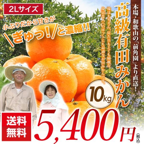 みかん 10kg 有田みかん 和歌山ミカン 蜜柑 秀品 高級みかん 送料無料 有田産みかん 2Lサイ...