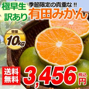 有田 訳あり みかん 10kg 無選別 酸味 すっぱい 極早生蜜柑 有田みかん 送料無料 箱買い 産地直送 自宅用 糖度 10キロ 和歌山みかん 早生みかん