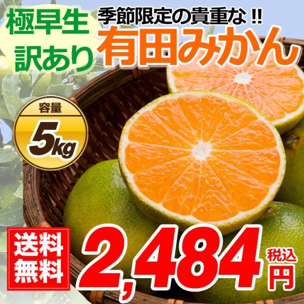 有田 訳あり みかん 蜜柑 ミカン 5キロ 無選別 酸味 すっぱい 極早生蜜柑 有田みかん 5kg ...