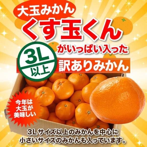 大玉 みかん 10kg くす玉くん 直送 訳あり 有田 みかん 送料無料 10キロ 安い 蜜柑 箱買...