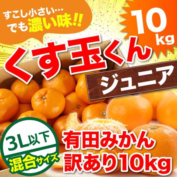 訳あり みかん 送料無料 10kg くす玉くんジュニア 直送 安い 有田 みかん 蜜柑 産地直送 自...