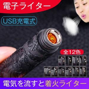 電子ライター USB充電式 ガス・オイル不要 風防付き