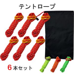 テントロープ 10本セット トリプル反射材入り 径 4mm 長さ 4m 自在金具