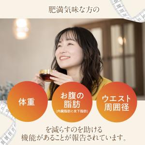 3ヵ月90個セット ルイボスティー 1日1杯メ...の詳細画像5