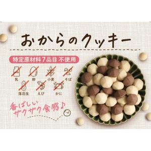 メロディアン おからのクッキー 4袋セット チ...の詳細画像1