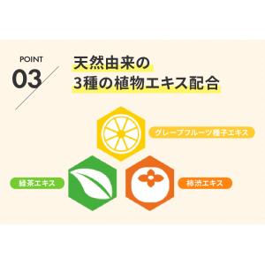 携帯用アルコール除菌 ウィルアタック ウイルス...の詳細画像4