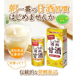 甘酒 あまざけ しょうが 酒粕 てんさい糖使用...の詳細画像1