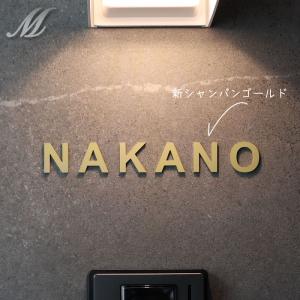 表札 ステンレス レーザー バラ文字 切り文字表札 個人名名字1世帯