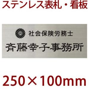 表札 看板 ステンレス 250×100×1ミリ 自動車用塗料使用 会社、事務所、店舗 stt2501...