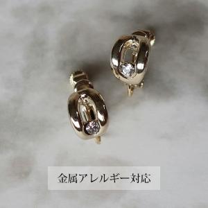 木の実のピアス・イヤリング / レディース 秋 冬 ナチュラル 可愛い