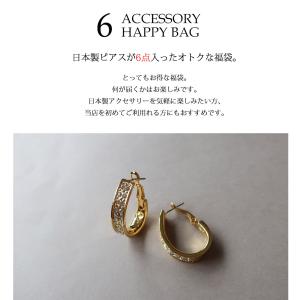 アクセサリー 2026 福袋 ピアス レディー...の詳細画像1