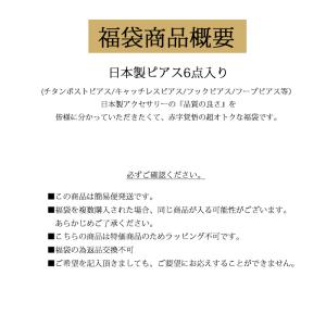 アクセサリー 2026 福袋 ピアス レディー...の詳細画像4