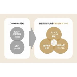 全国送料無料ワタナベオイスターDHMBAディー...の詳細画像1