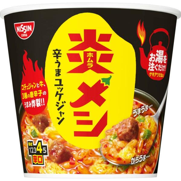 日清食品 日清炎メシ 辛うまユッケジャン インスタント 106g ×6個