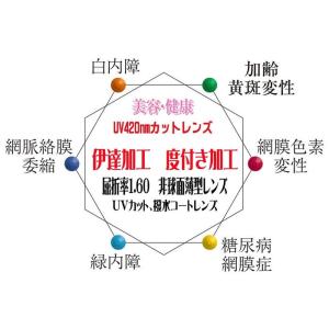 HOYA ブルーカット 非球面1.60 薄型レンズ UVカット、撥水加工付 PC