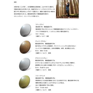 伊藤光学 RARTS アーツ 偏光薄型遠近両用...の詳細画像2